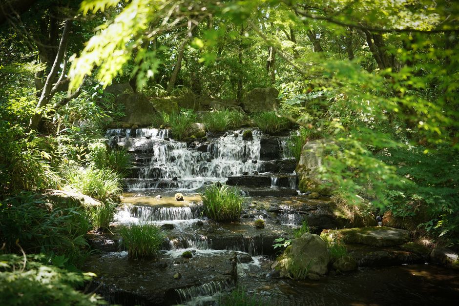 Zen-tuin met rustgevende waterfontein en stenen.