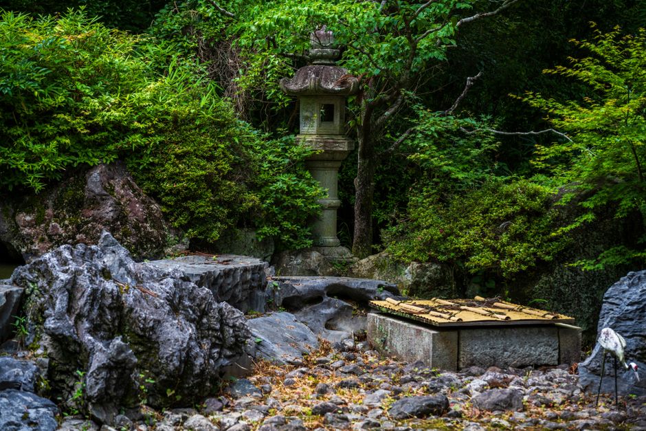Zittende Buddha-beeld tussen groene bamboestengels.