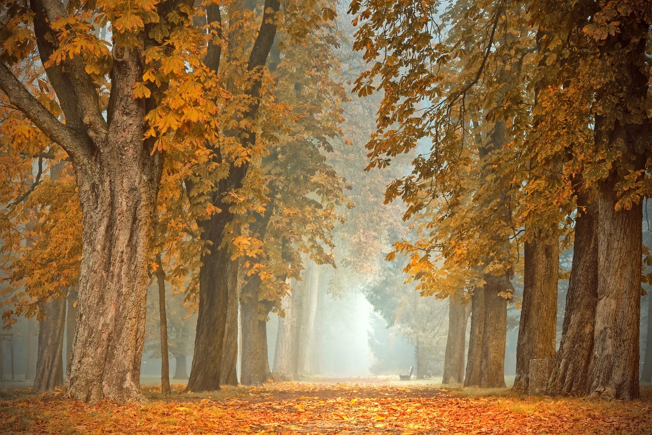 Stijlvolle herfstdiner setting met seizoensgebonden accenten. Stijlvolle herfstdiner setting met seizoensgebonden accenten.